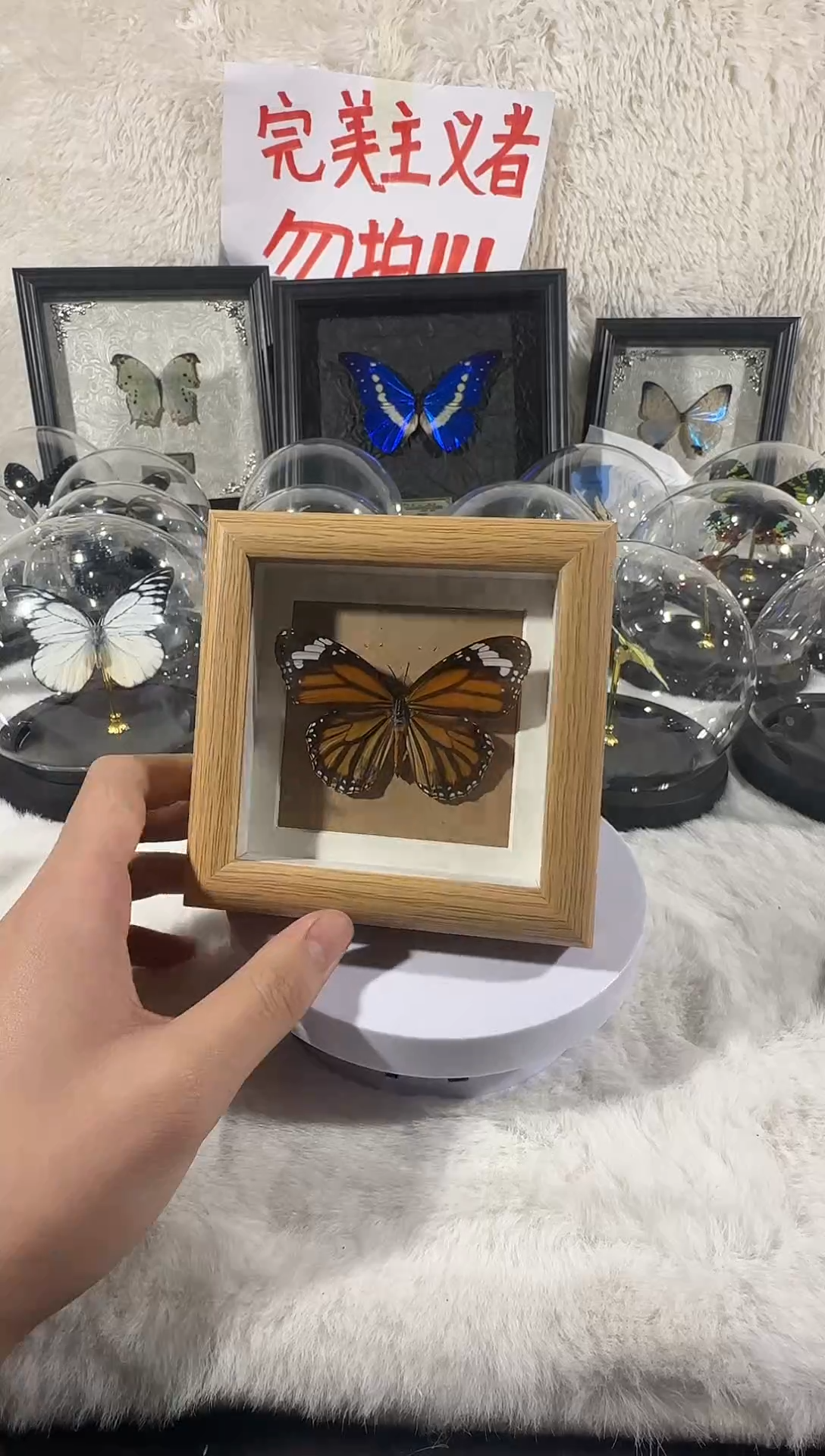 木虎斑精致小框  