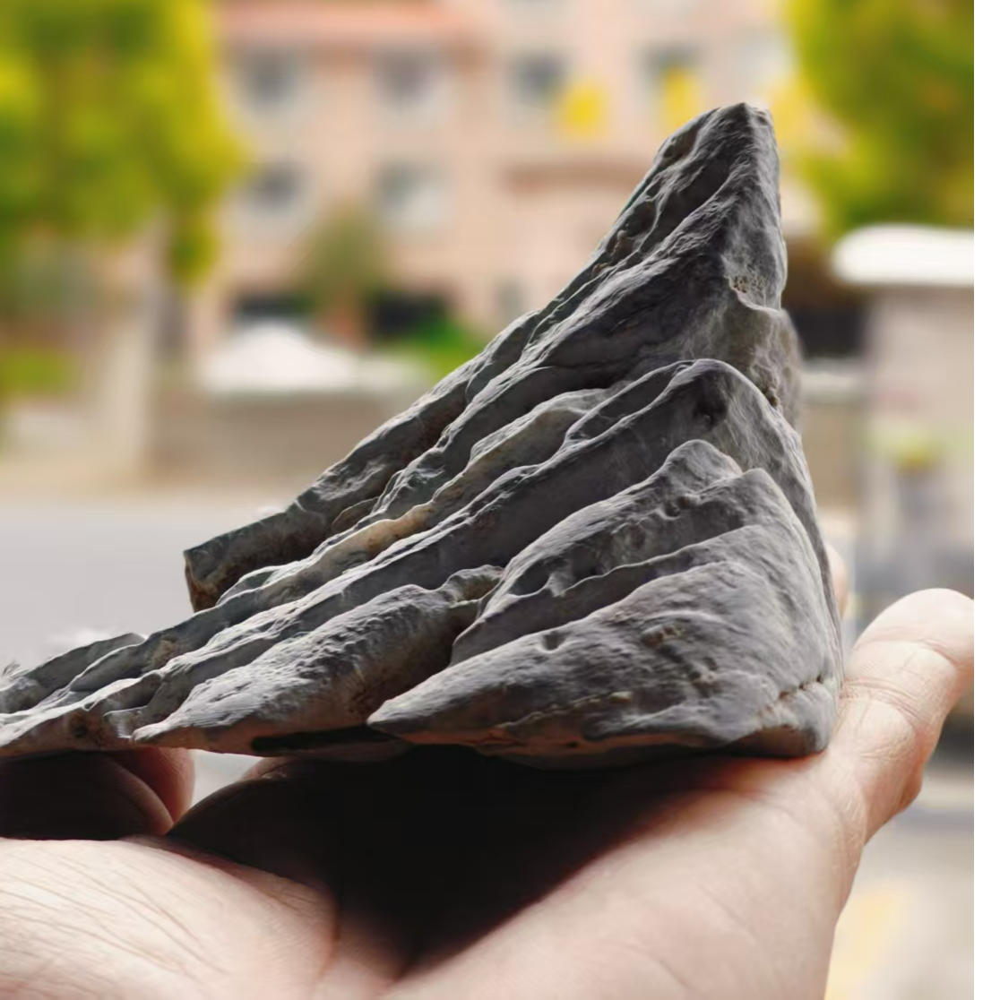 精美摆件不同规格38-638