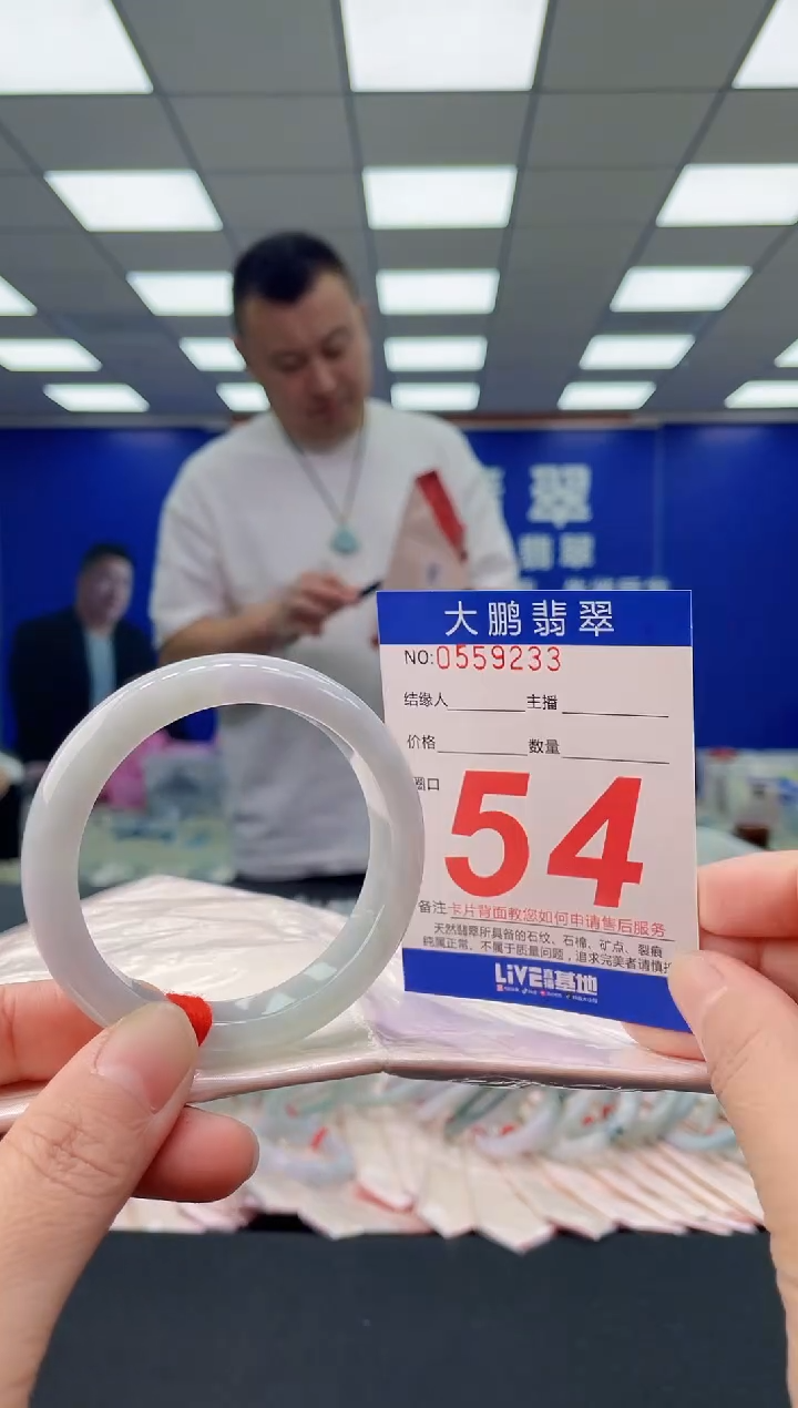 未镶嵌手镯翡翠AAAAAAAAAA