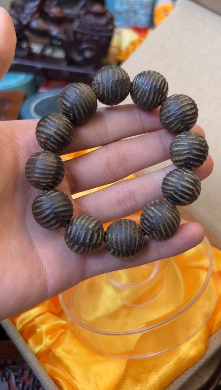 木--------瓷--------虫漏2.0
