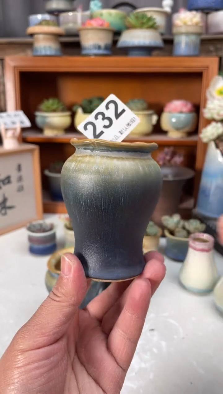 瓷片232小芳直播编号