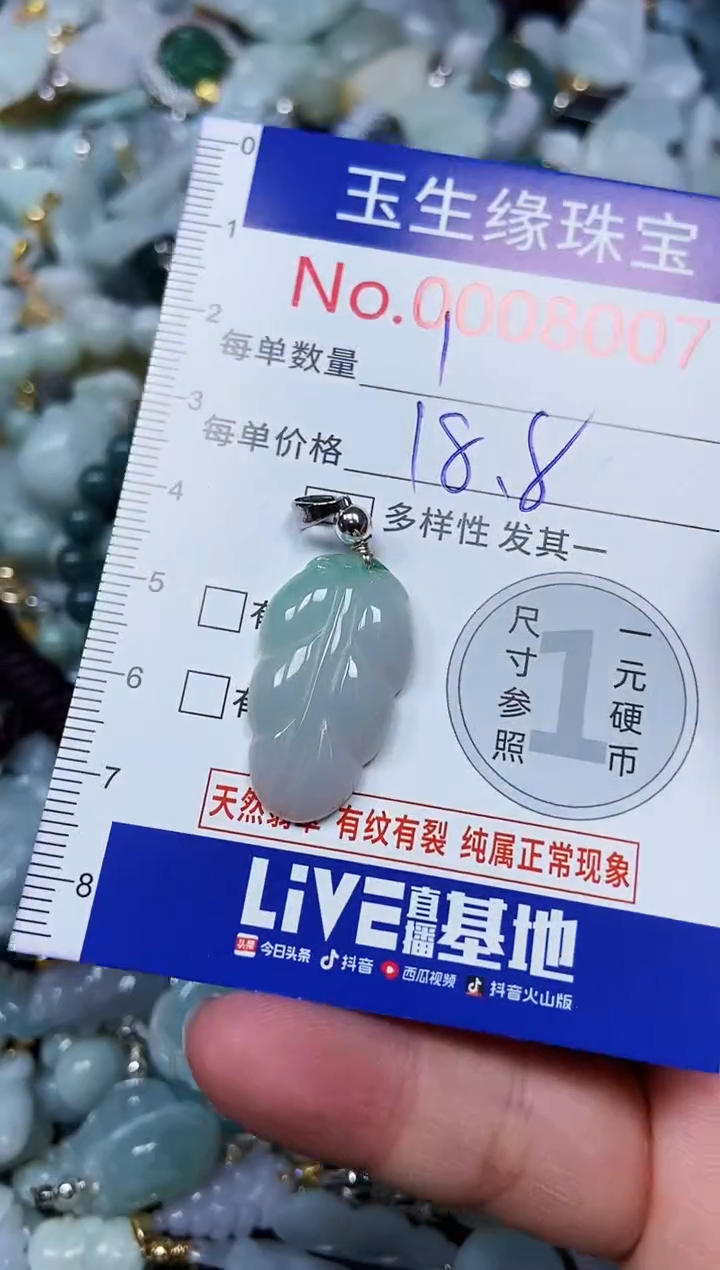 【闪购商品】翡翠颈饰未镶嵌闪购00008007