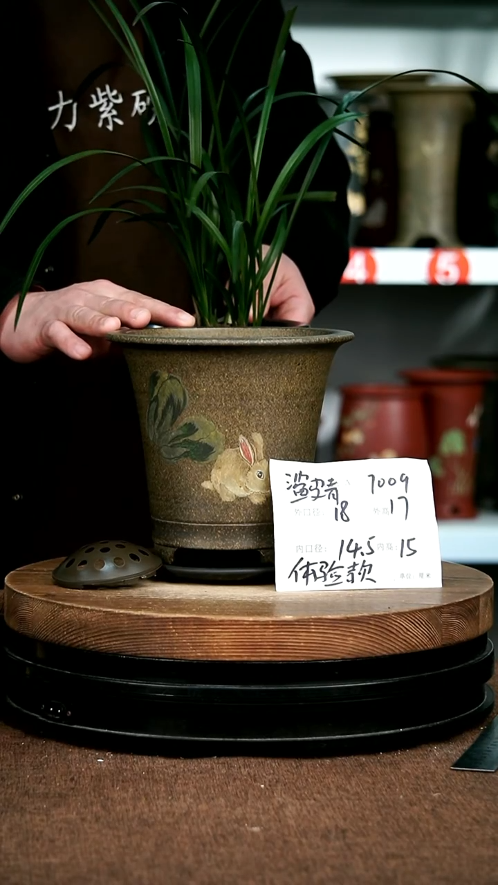 紫砂花盆花卉园艺7009+Z