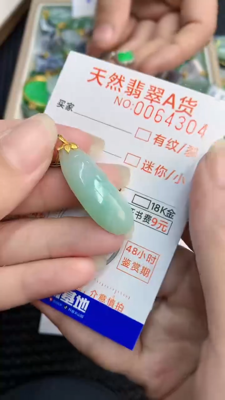 【闪购商品】翡翠颈饰18K金镶嵌            8