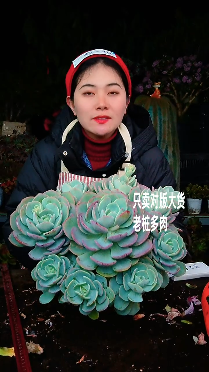 【闪购商品】超大大白月光30号