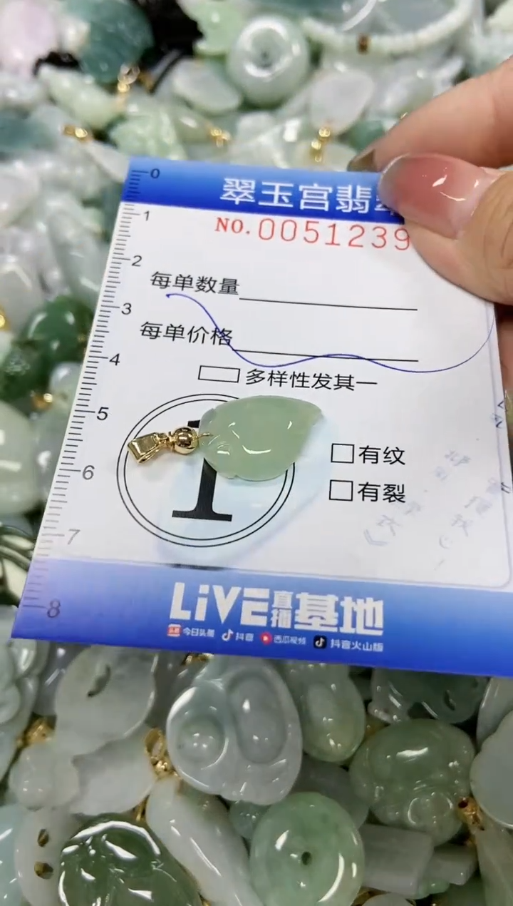 【闪购商品】翡翠颈饰未镶嵌闪购0051239