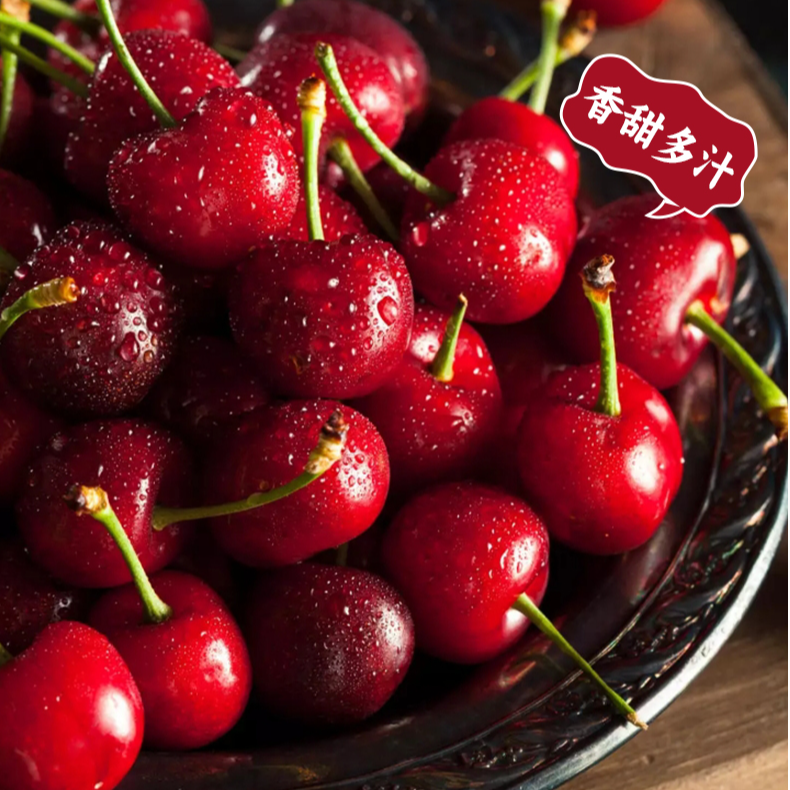 【智利桑提娜】2JD-4JD海运/空运原箱5斤装脆甜多汁内附果径卡