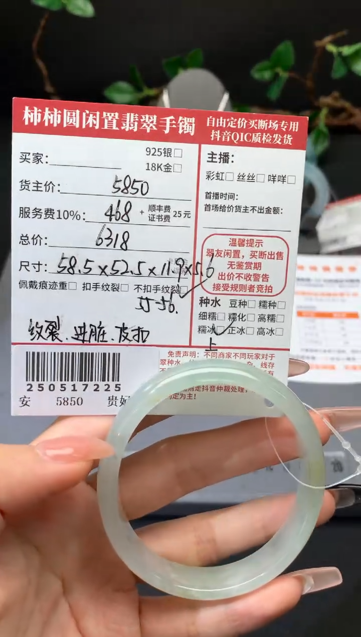 未镶嵌手镯翡翠姐姐250517225