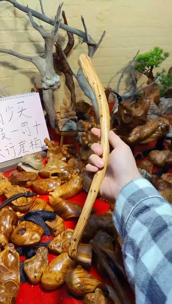 【闪购商品】柏木48崖柏崖柏崖柏