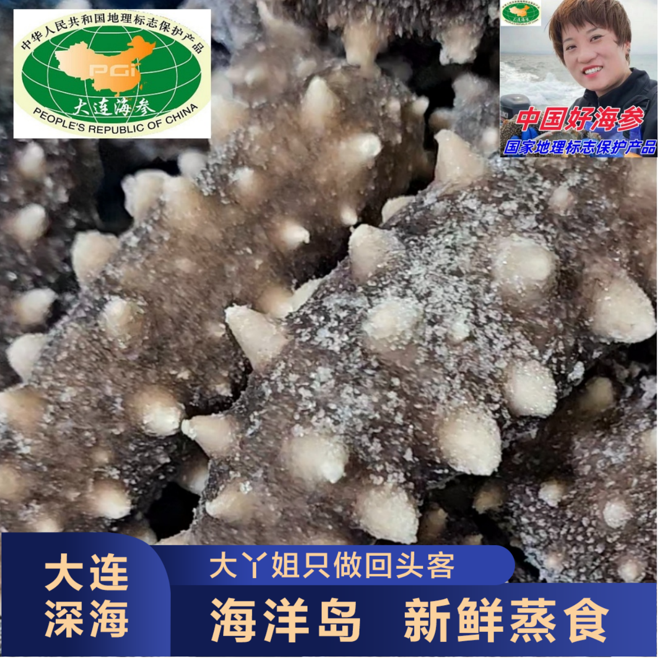 【海洋岛 新鲜蒸食海参】【大连长海县】6-8头/斤 3斤