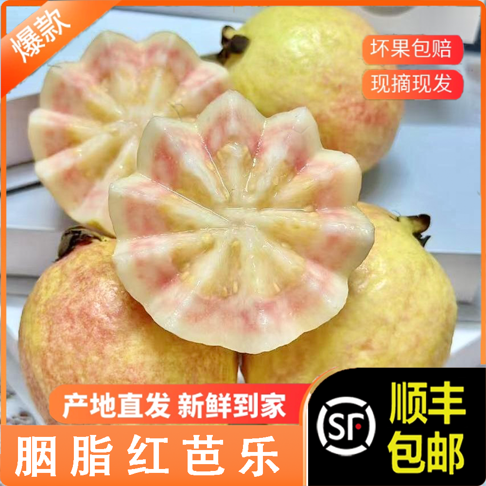 优芭胭脂红芭乐|自然树熟番石榴~软糯香甜鸡屎果红心芭乐应季水果