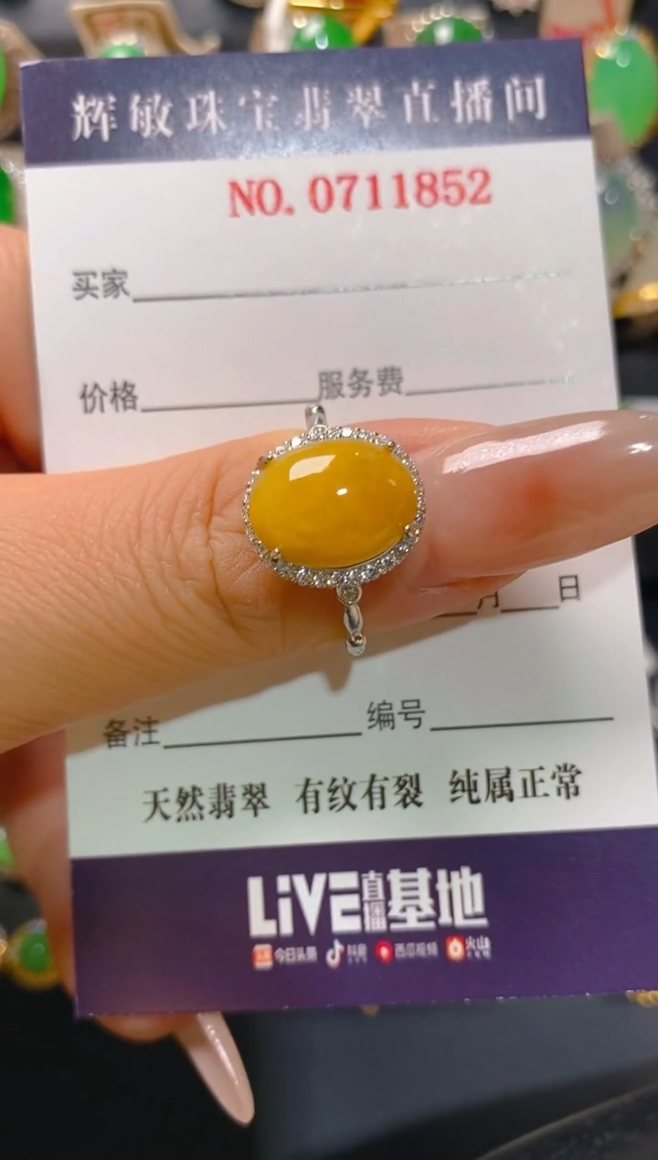 【闪购商品】翡翠耳饰银S925镶嵌天然A货翡翠1