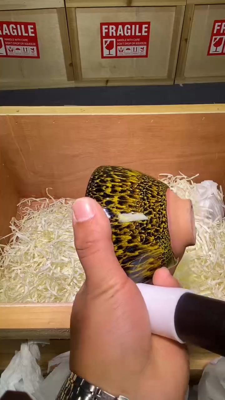 茶盏主人杯精选一只52