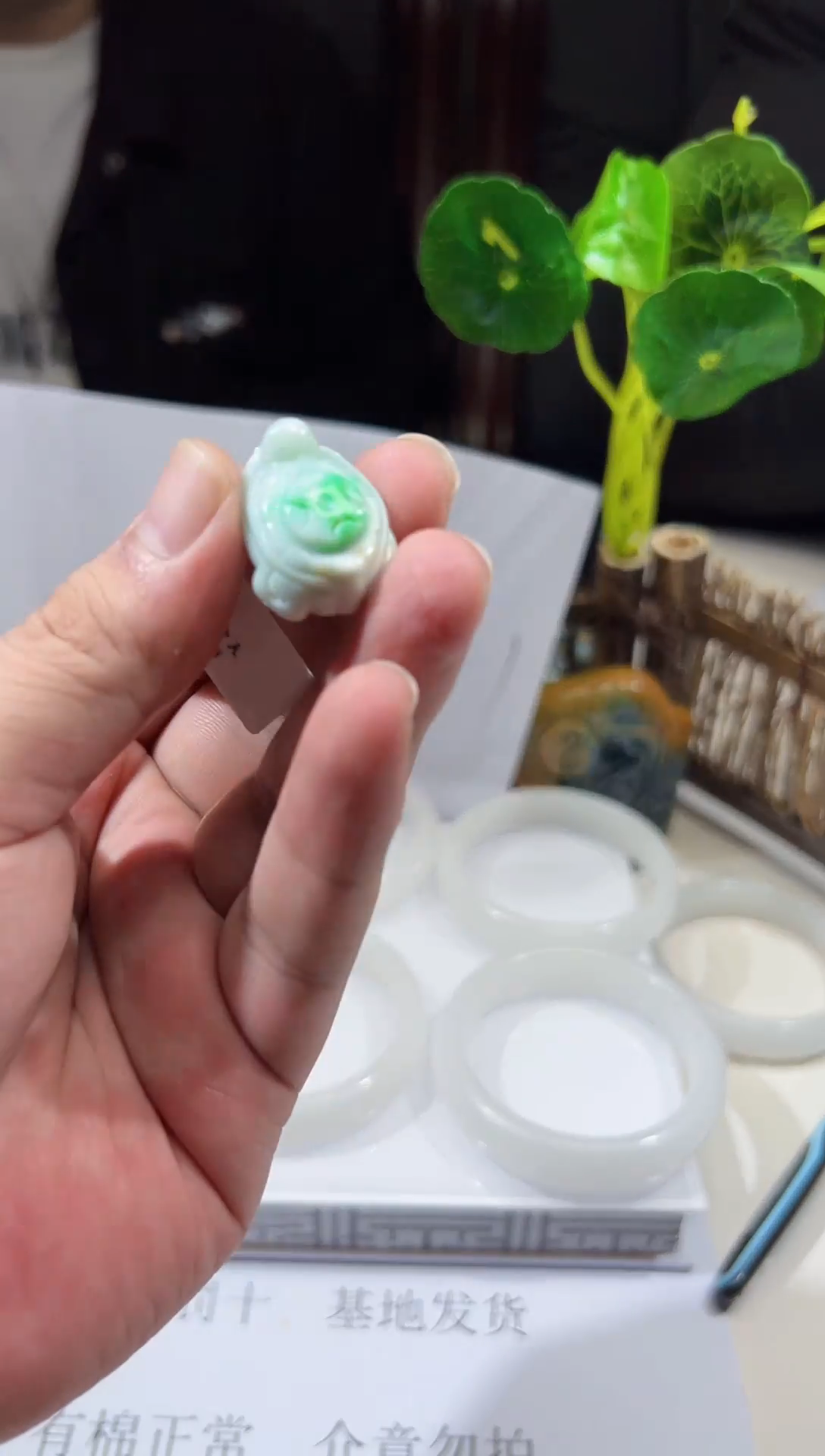 【闪购商品】翡翠颈饰未镶嵌天然翡翠（多样性发）玄武