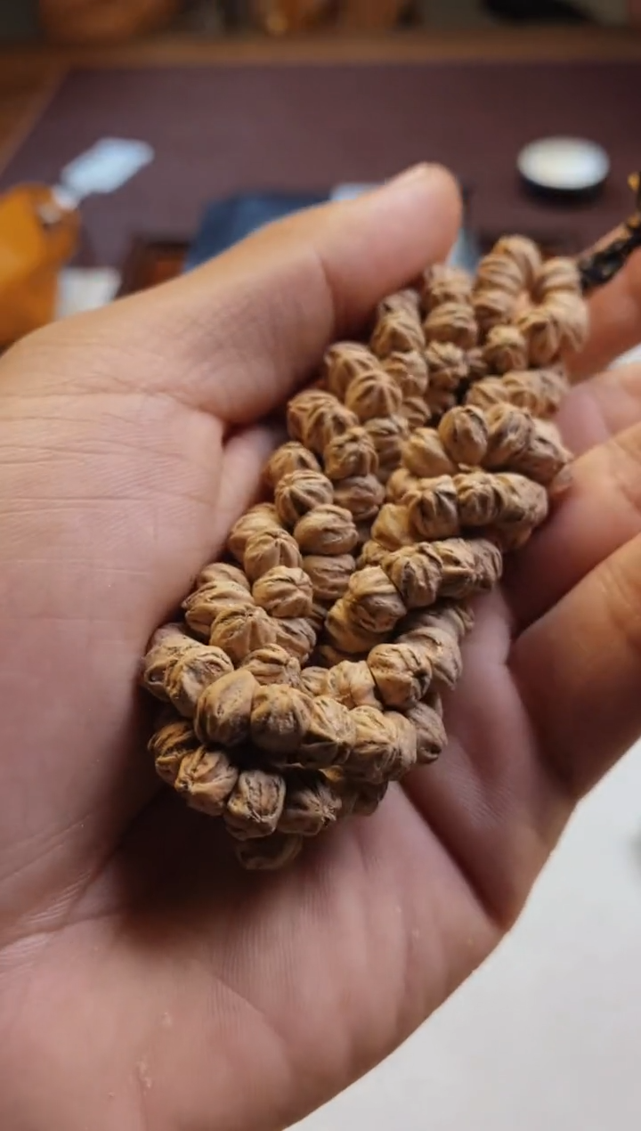 柏香籽/百香籽手串【天策出品】-- 雏菊