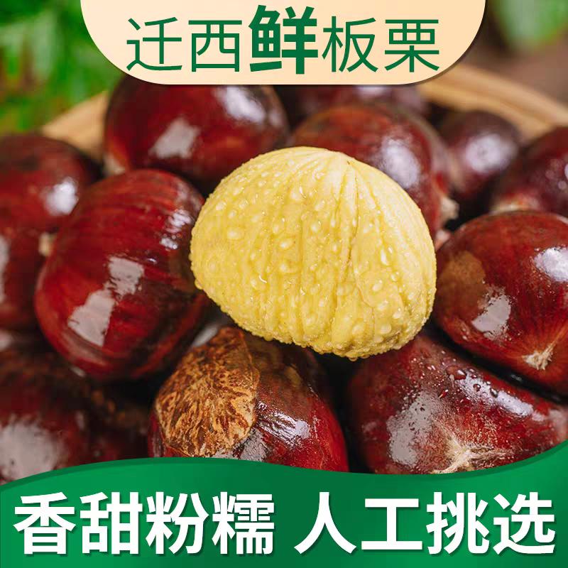 迁西3113板栗新鲜现摘圆粉糯香甜饱满生板栗