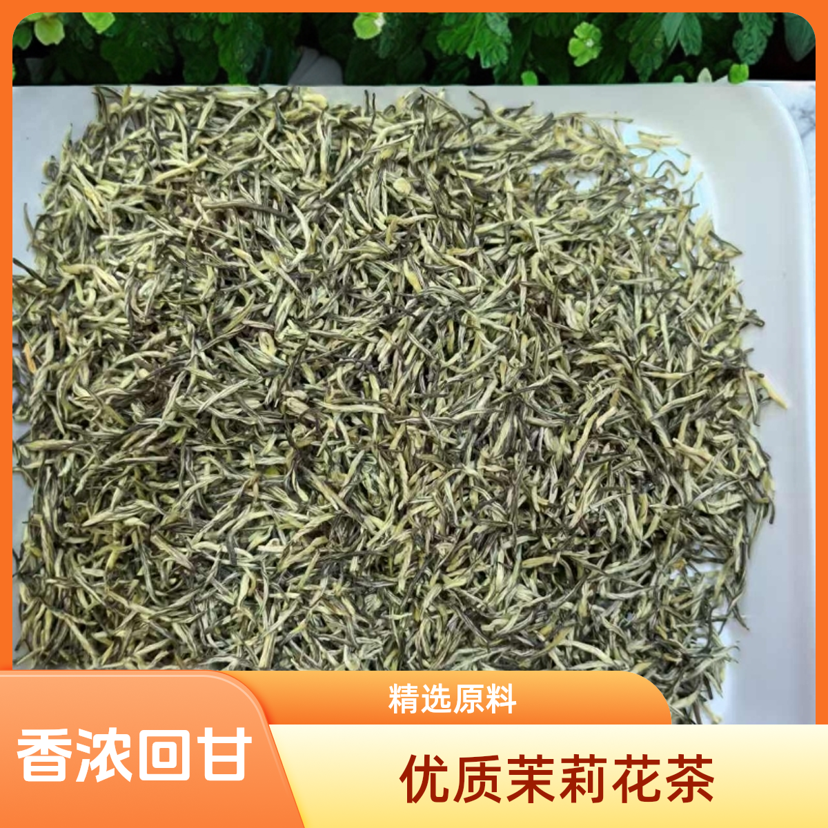 鲜灵香润茉莉花茶【飘雪系争分多秒】浓香甘甜品质上乘