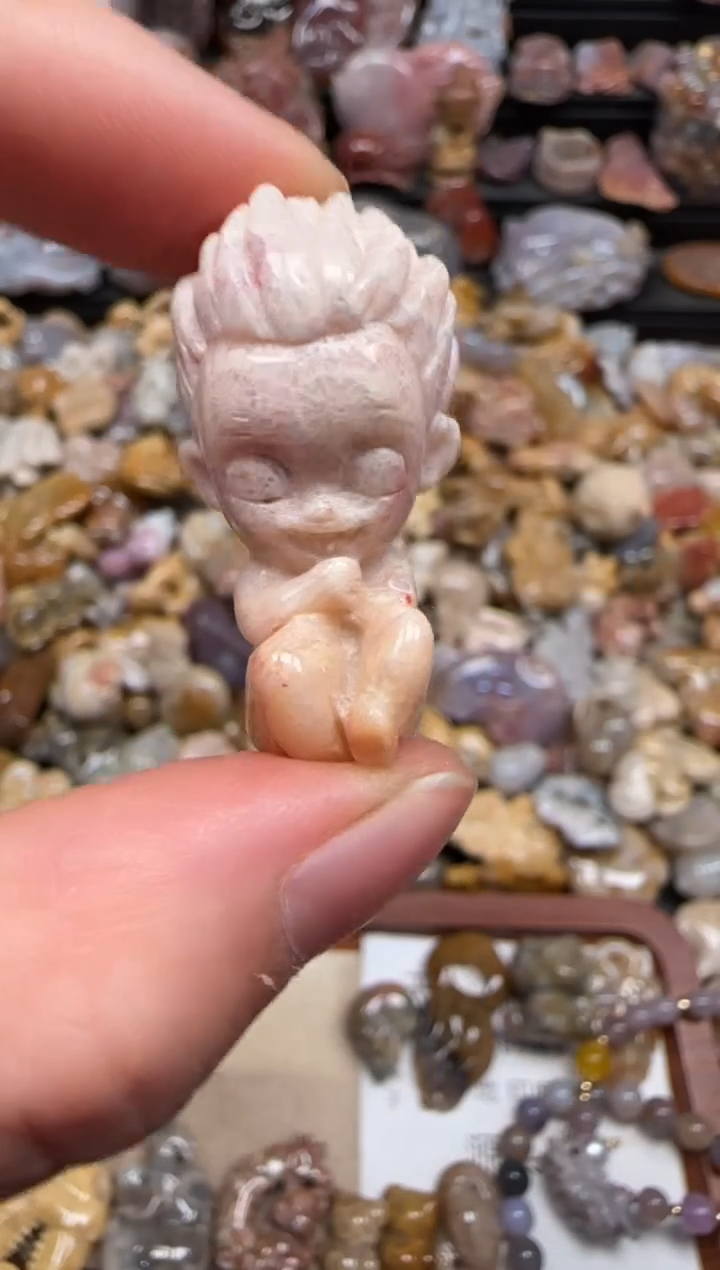 【闪购商品】硅化珊瑚（珊瑚玉）颈饰未镶嵌215