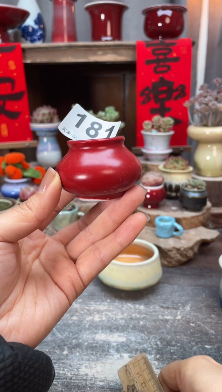 【闪购商品】摆件181知木小芳花盆