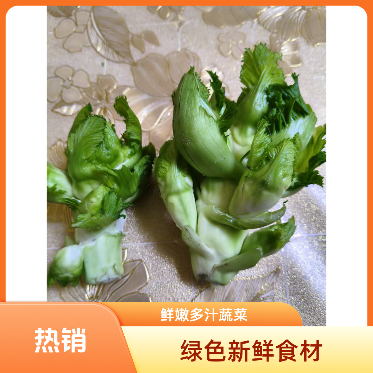 【特价】四川新鲜儿菜蔬菜娃娃菜嫩儿仔菜农家自种泡菜腌菜原料