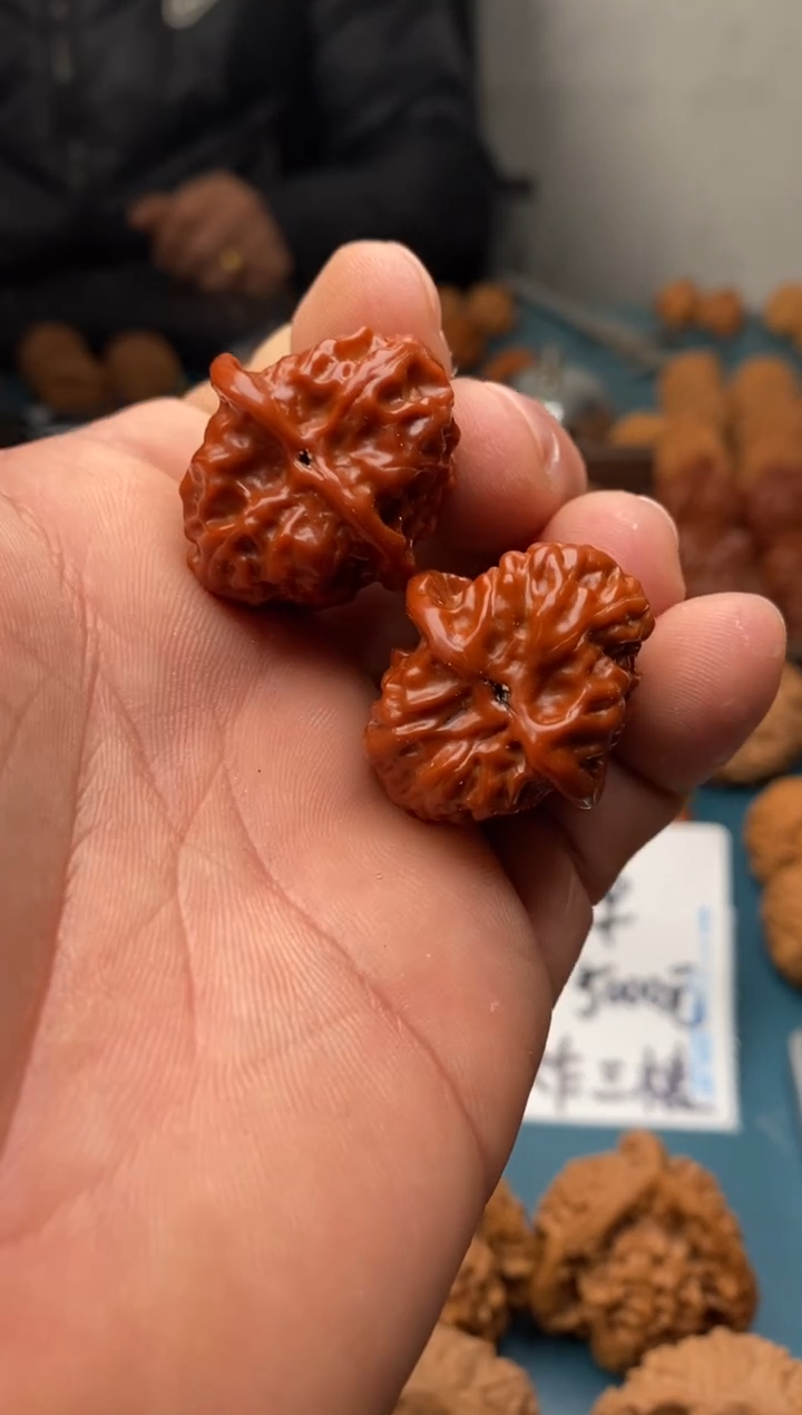 把件文玩核桃野狼红323