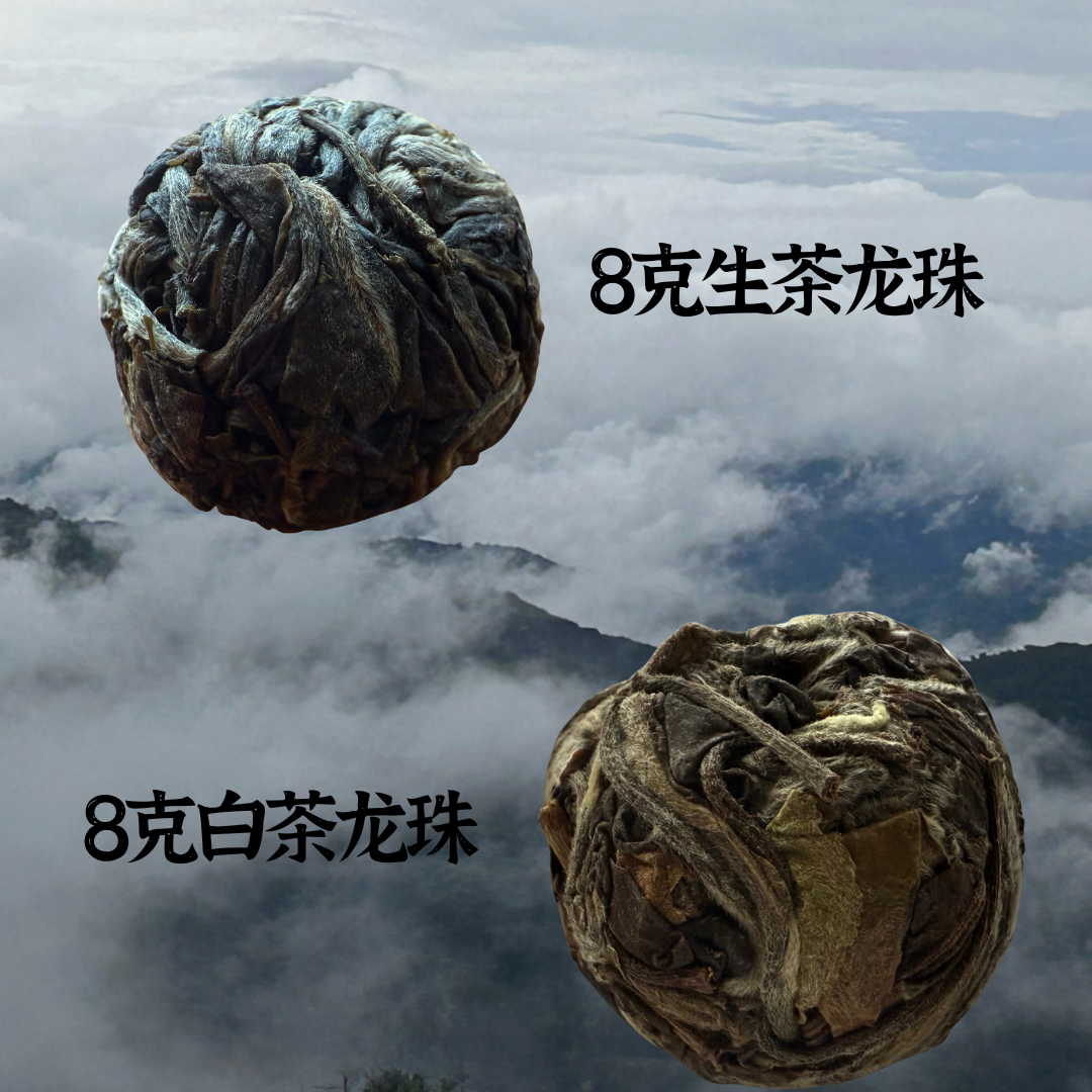 （顺丰包邮带茶样）龙记茶叶南糯山 头春拔玛 龙珠普洱茶生茶白茶8g