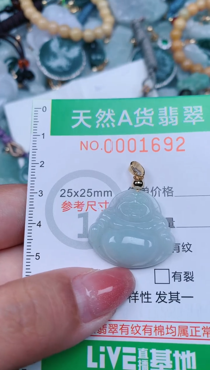 【闪购商品】翡翠颈饰未镶嵌.0001692