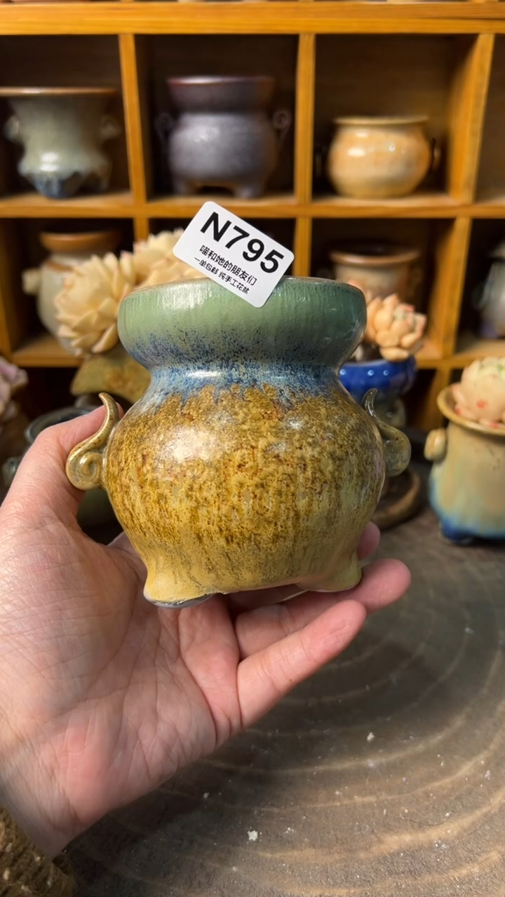 795【多肉花盆多肉盆】