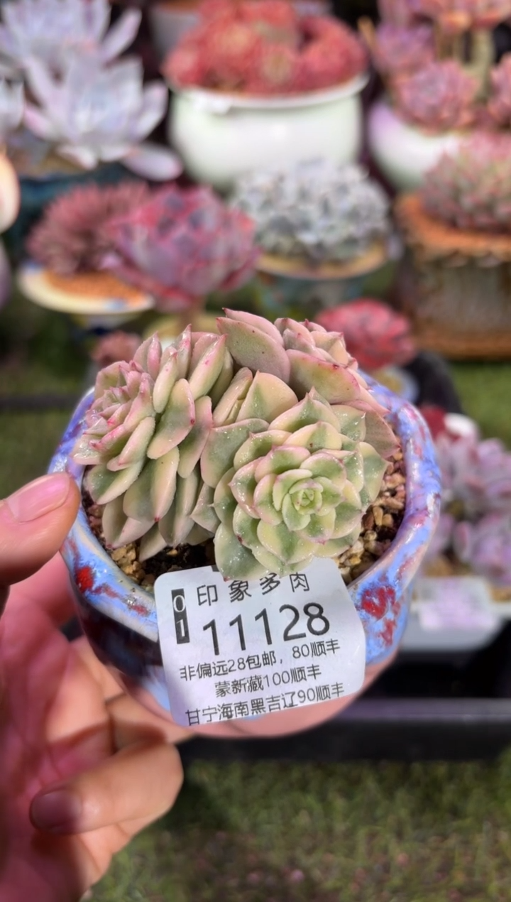 【闪购商品】11128