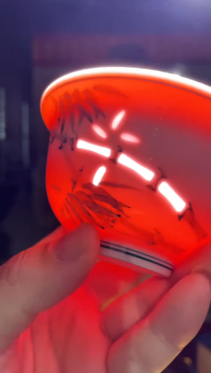 杯子陶景德镇陶瓷杯