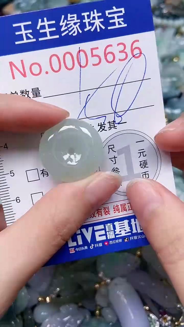 【闪购商品】翡翠颈饰未镶嵌闪购00005636