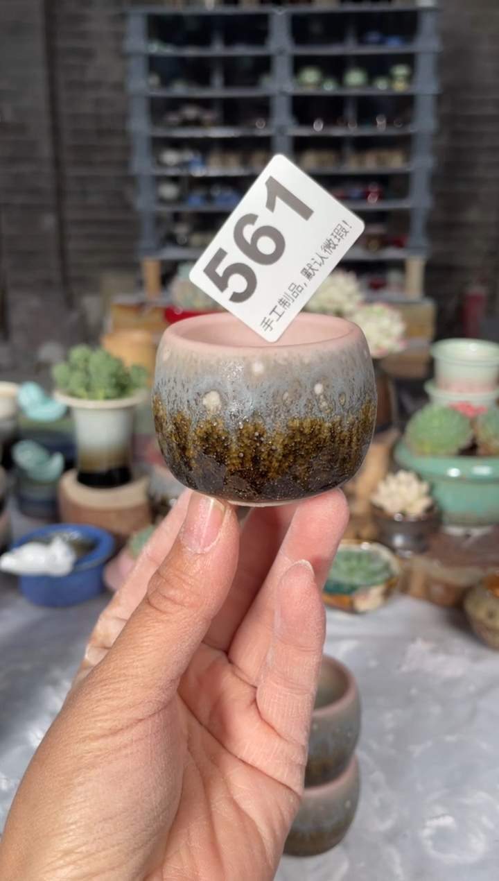 瓷片561小芳直播编号