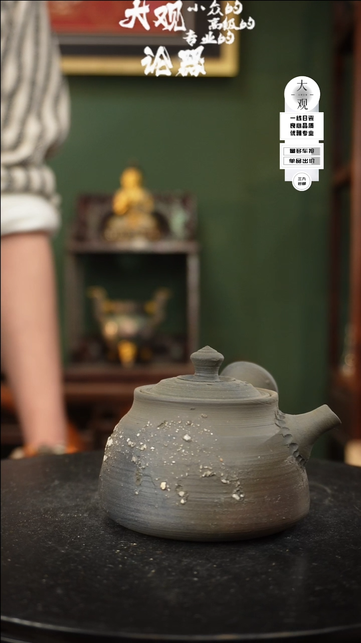 【闪购商品】瓷片大观论器壶壶