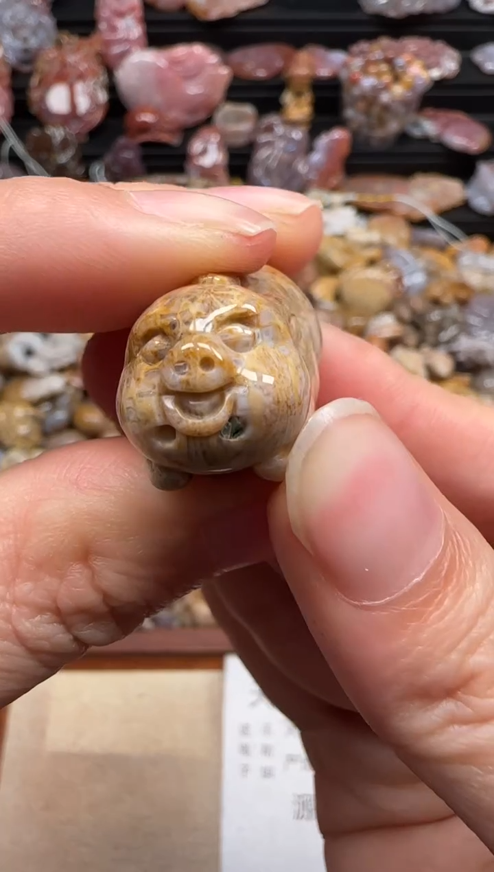 【闪购商品】硅化珊瑚（珊瑚玉）颈饰未镶嵌302