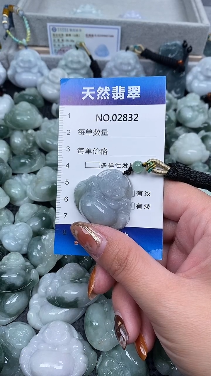 颈饰未镶嵌翡翠纯天然A货翡翠2832