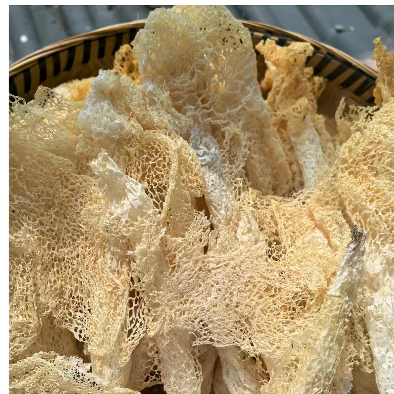 长裙竹荪贵州农家货煲汤火锅食材脆嫩爽口肉质肥厚