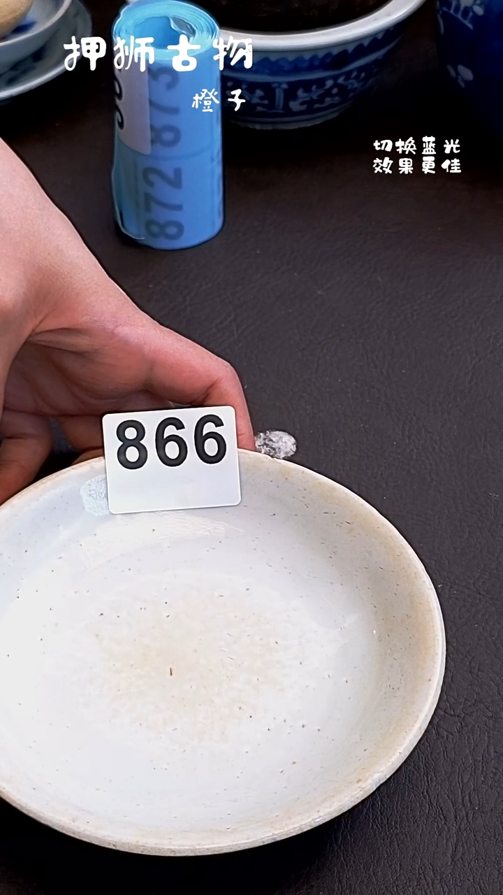 漂漂亮亮的瓷器编号866