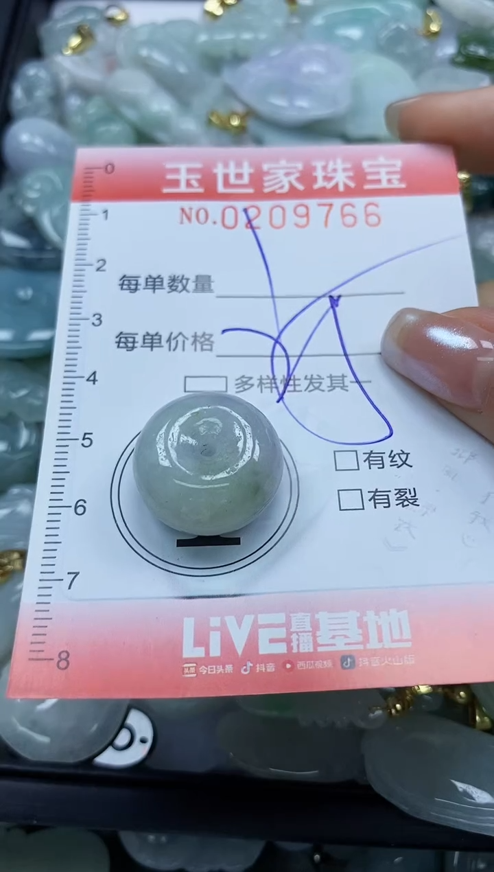 【闪购商品】翡翠颈饰未镶嵌闪购0209766