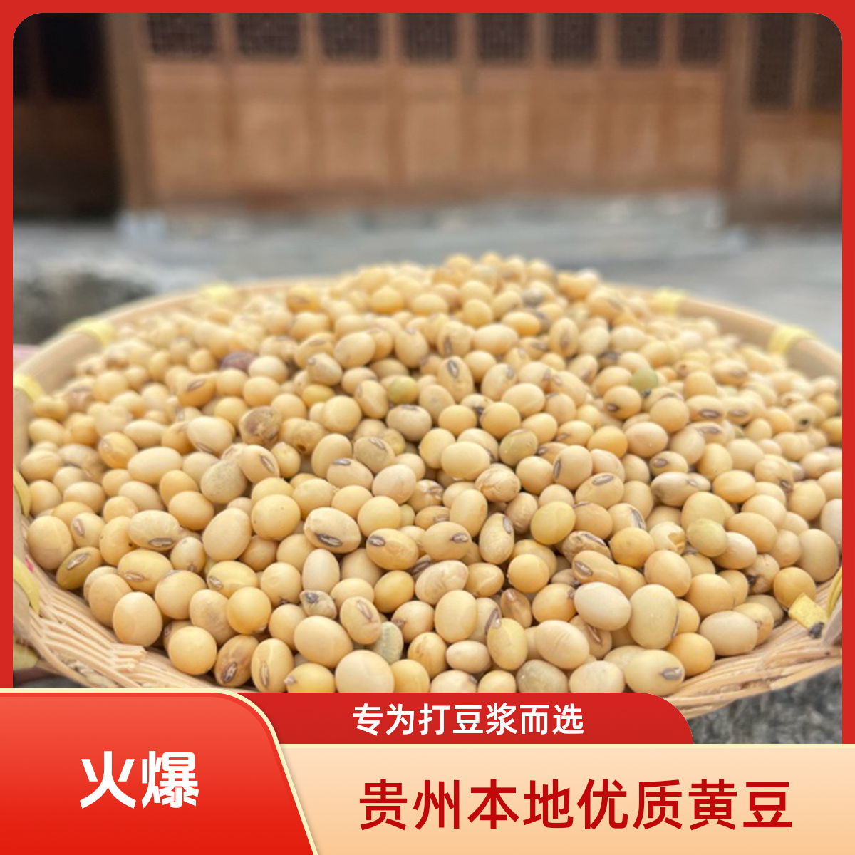 贵州本地小黄豆农家种植豆子5斤装2025年新黄豆打豆浆专用黄豆