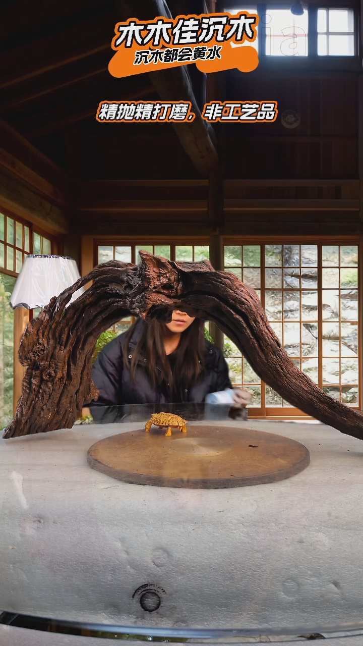 新****园木木佳沉木鱼缸造景519