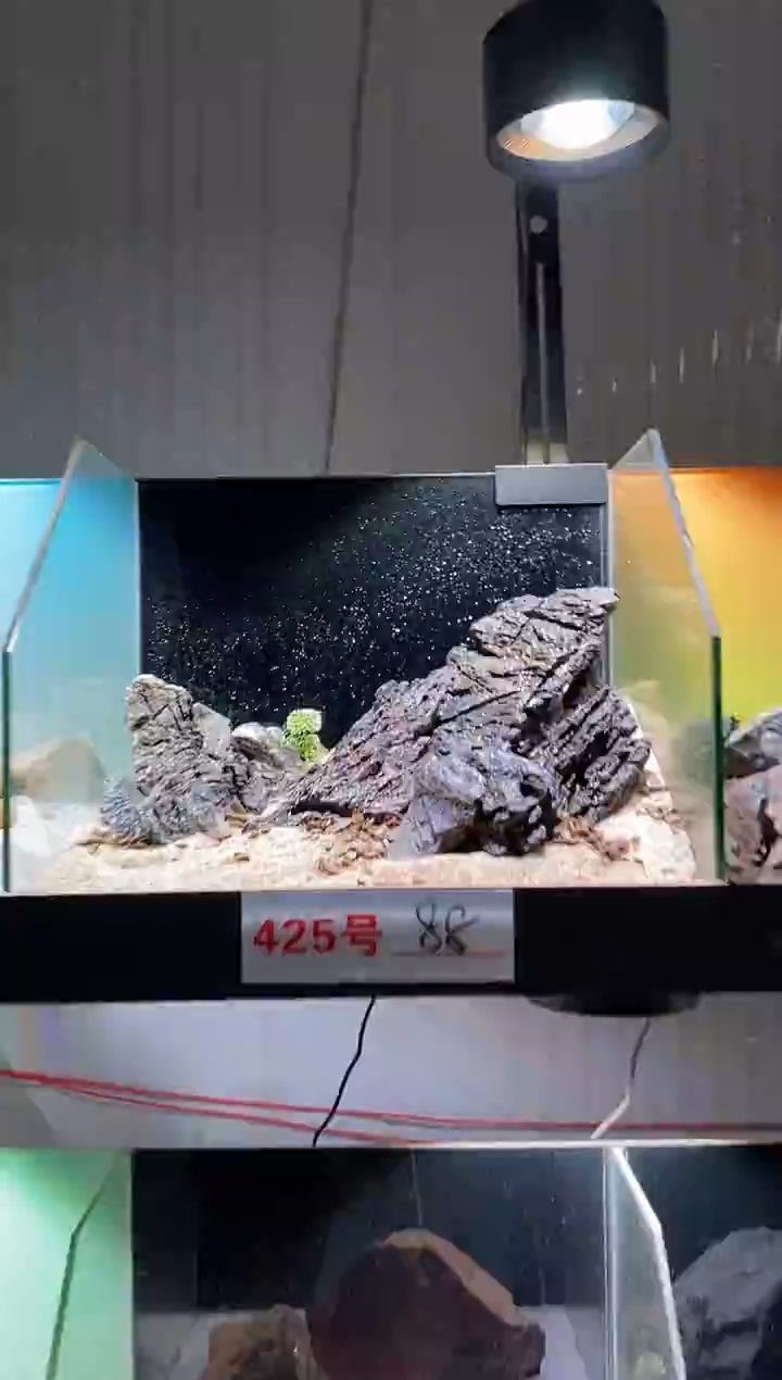 425号鱼缸造景（不含底砂）