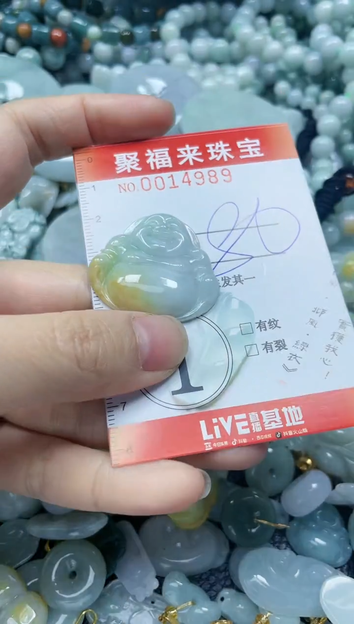 【闪购商品】翡翠颈饰未镶嵌闪购0014989