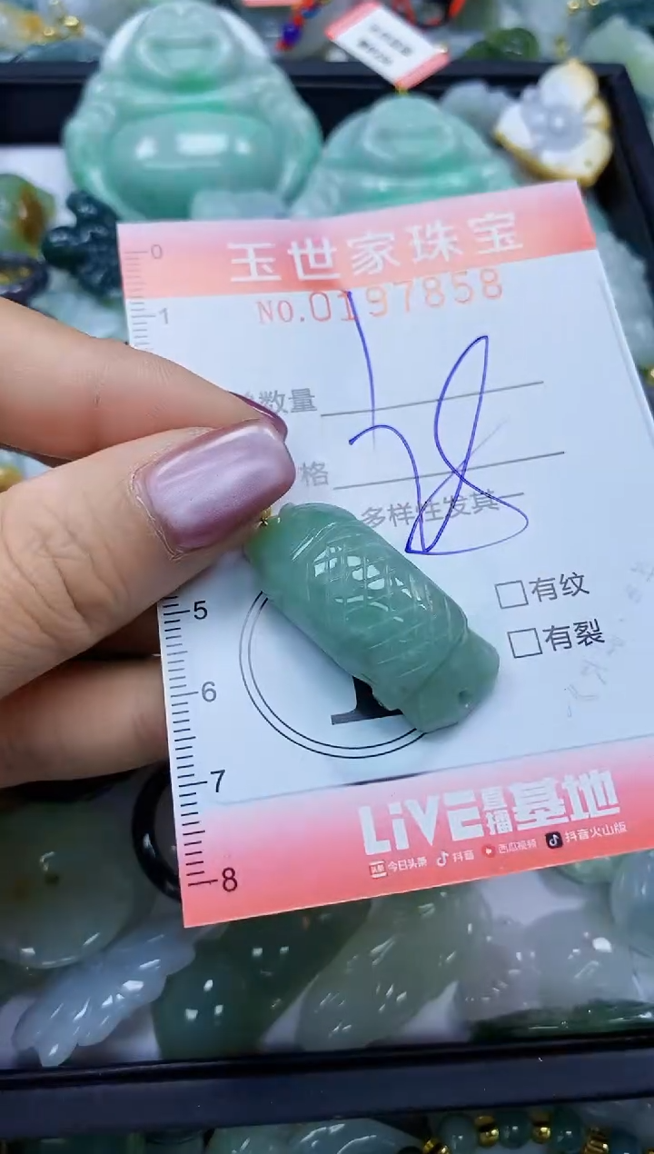 【闪购商品】翡翠颈饰未镶嵌闪购0197858