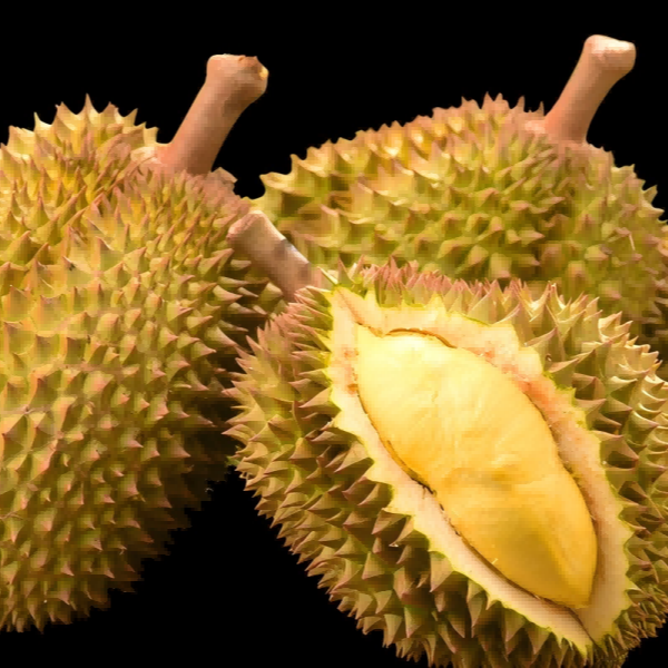 新鲜泰国金枕榴莲核小3-8斤金枕泰国