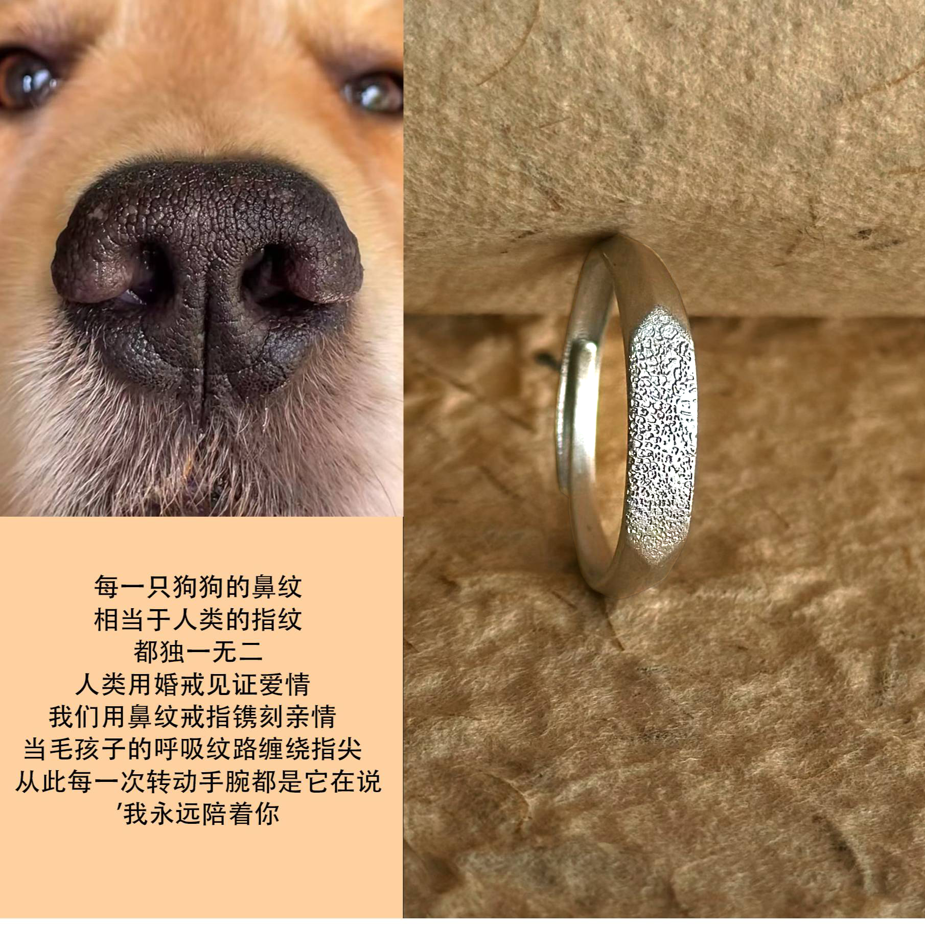 宠物猫狗鼻纹定制纪念戒指饰品