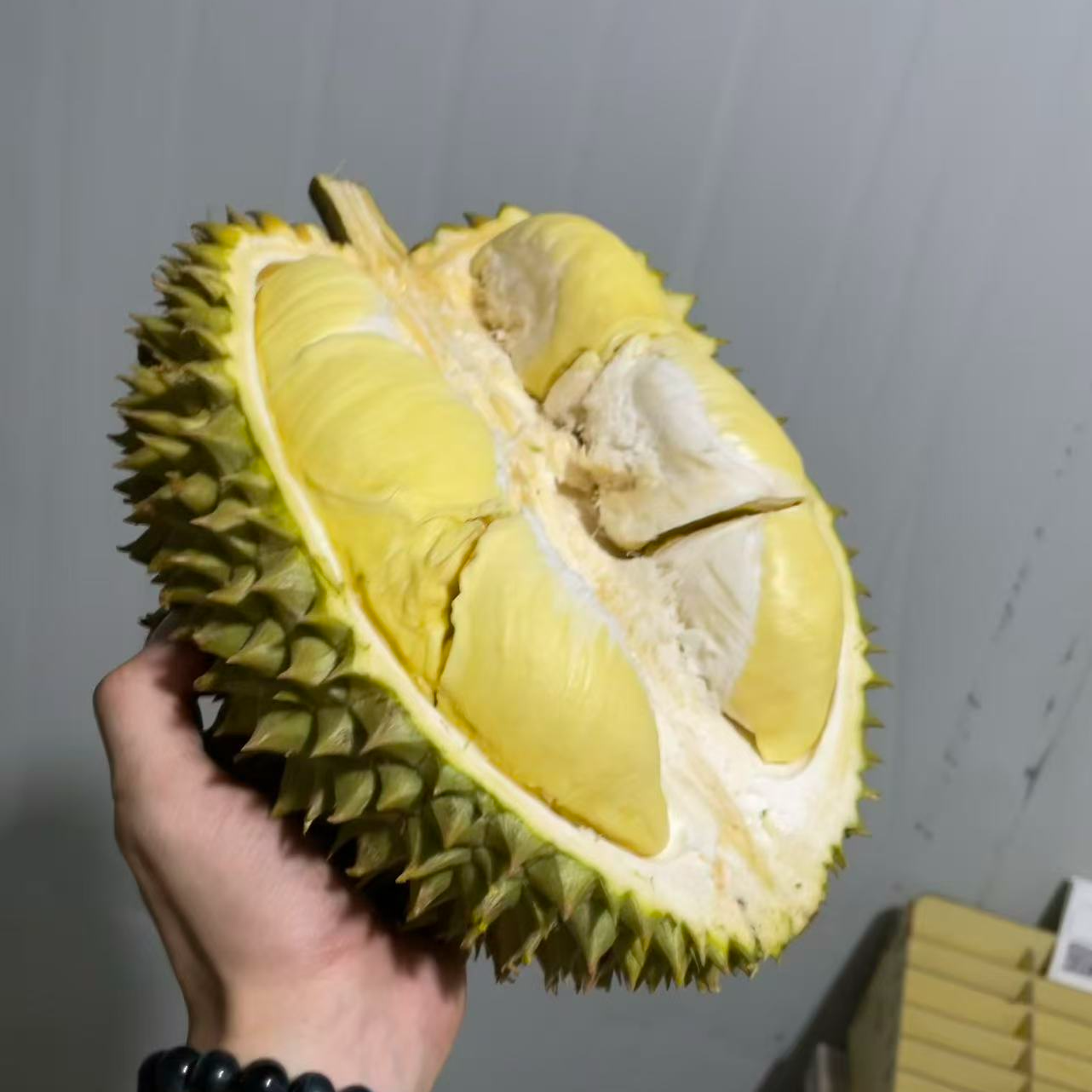 狗子手挑：私人定制越南金枕 A果（保4房，不保出肉率)