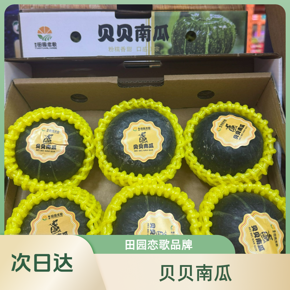 【京东次日达】田园恋歌贝贝南瓜礼盒装 粉糯香甜 京东包邮贝贝南瓜