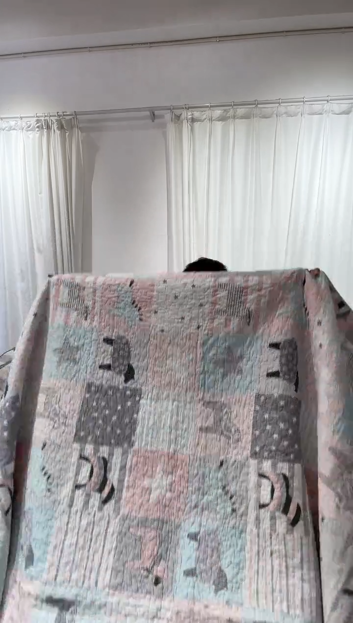 棉220*240纯棉床盖31号微瑕