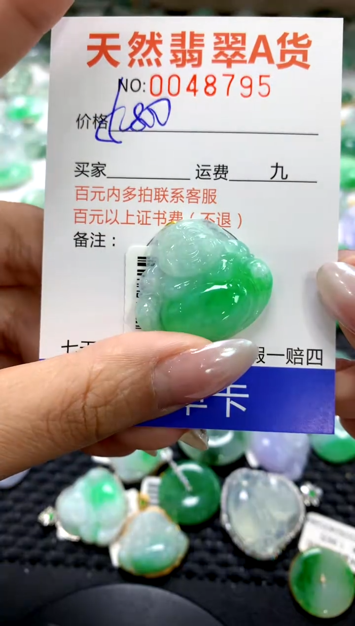 颈饰未镶嵌翡翠1