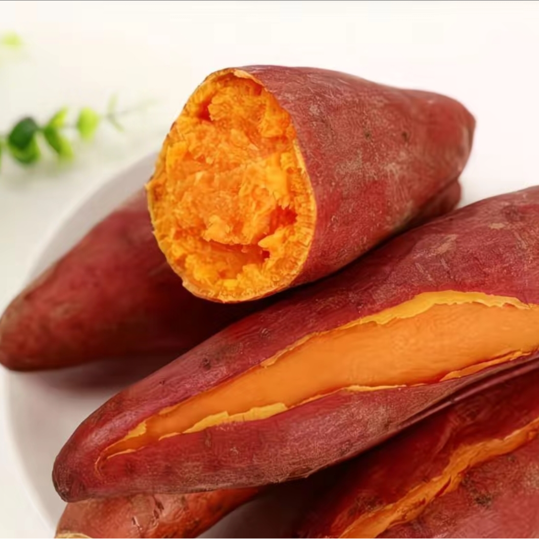 蜜薯细腻入口即化甜而不腻早餐烤食煮粥6-5斤不含6斤有（12-14个）